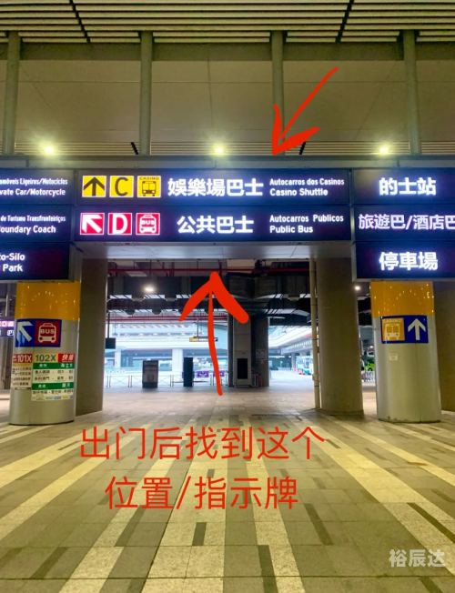 澳门精选免费资料大全321期2023澳门资料免费看，探索澳门的历史文化与旅游资源