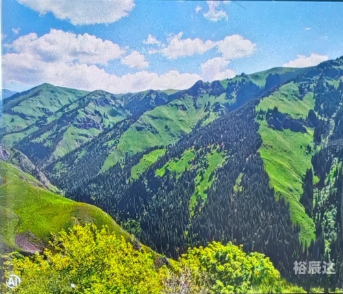 新疆首批旅游团进疆了吗新疆首批旅游团进疆之旅