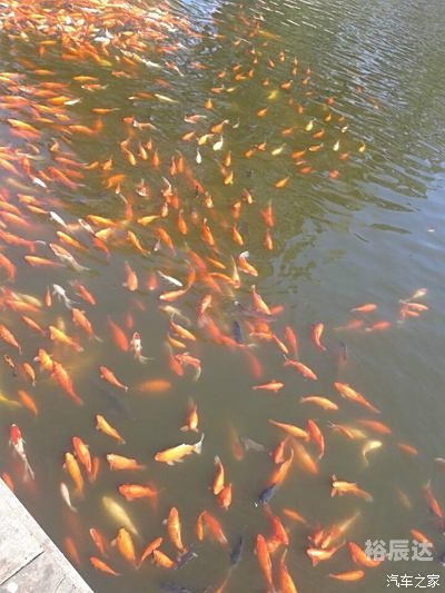 小鱼儿论坛小鱼儿论坛，探索网络交流的新天地-第2张图片