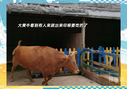 芳草地是什么六合芳草地，诗意栖居的理想之地-第3张图片