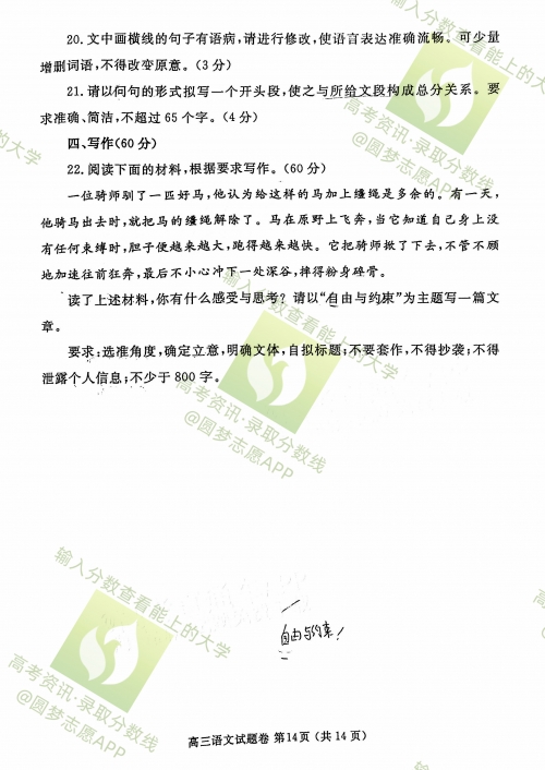 下半年郑州全面免费政策解析