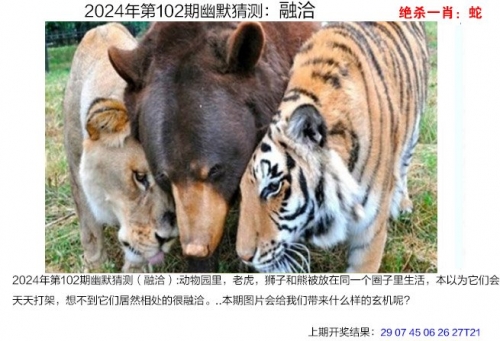 王中王免费资料大公开王中王免费资料大公开-第2张图片