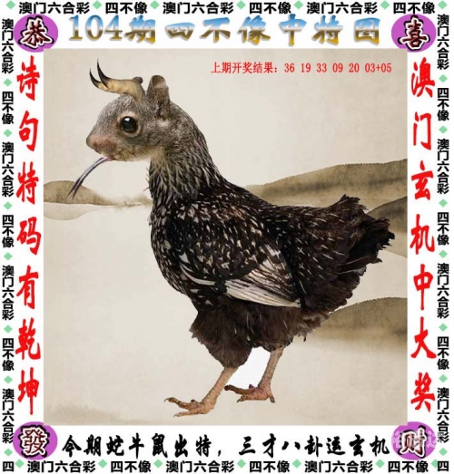 澳门精准免费资料