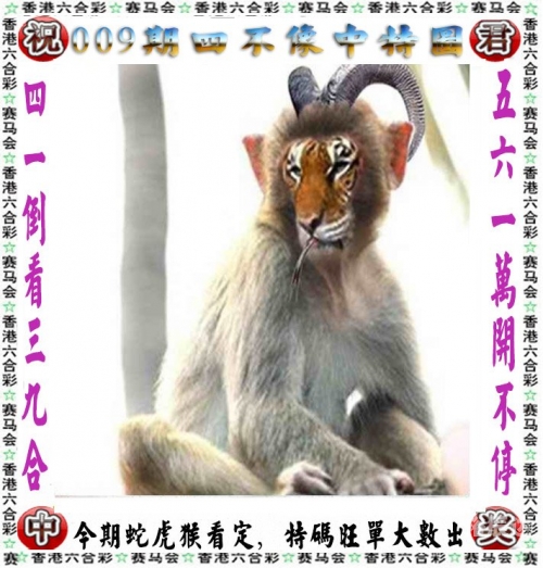 2024澳门管家婆资料大全2024澳门管家婆资料大全-第1张图片