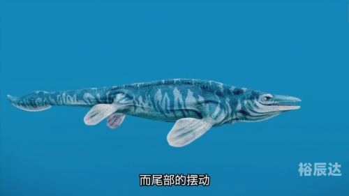 金富利心水论坛，探索心灵交流的海洋