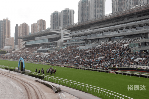 香港赛马会排位表香港赛马会排位表揭晓