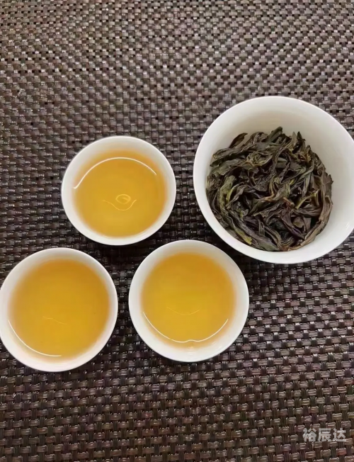 白芽奇兰，兰花中的珍品-第1张图片