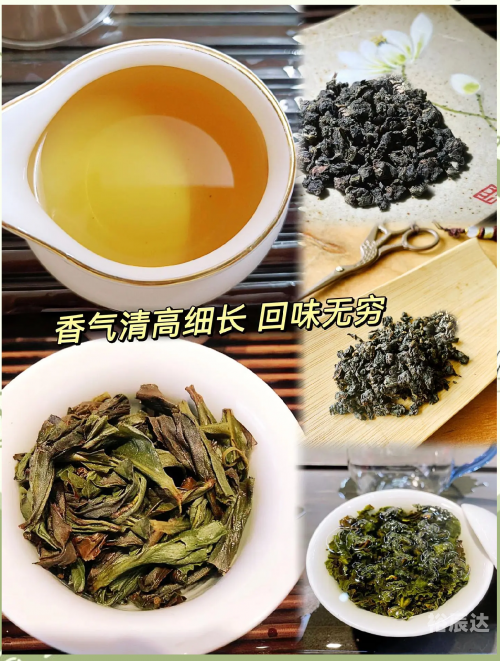 白芽奇兰，兰花中的珍品-第2张图片