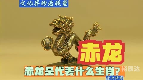 群龙无首是什么生肖？