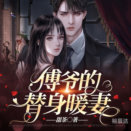 傅总的替嫁娇妻 小说替嫁娇妻，傅总的神秘婚事-第2张图片