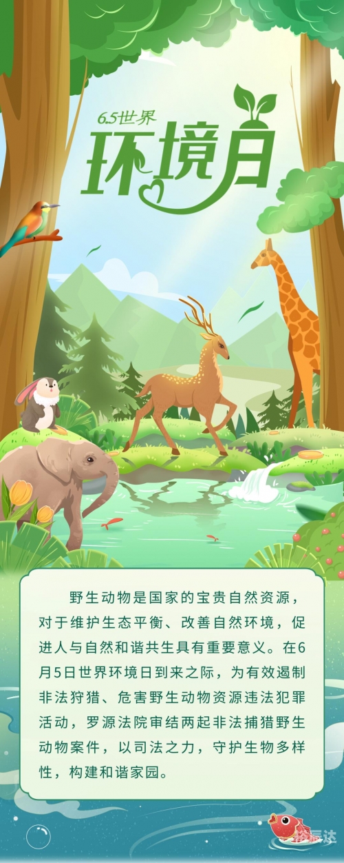 2019年香港四不像正版2019年香港四不像正版概述-第2张图片