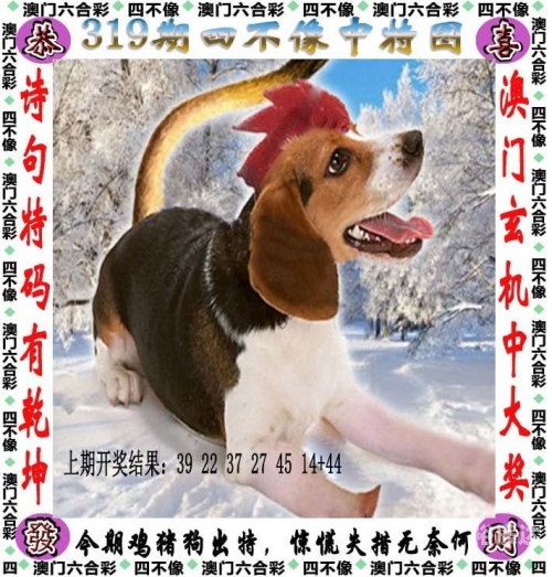 新澳2024管家婆资料第三期新澳2024管家婆资料第三期