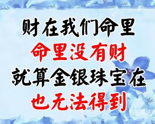 双色球数开奖结果双色球数开奖结果揭晓-第2张图片