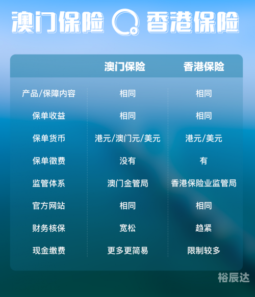 新澳门最精准正最精准龙门新澳门精准资料期期精准，澳门未来的投资与决策指南