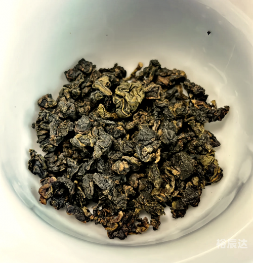 白芽奇兰白芽奇兰，兰花中的珍品