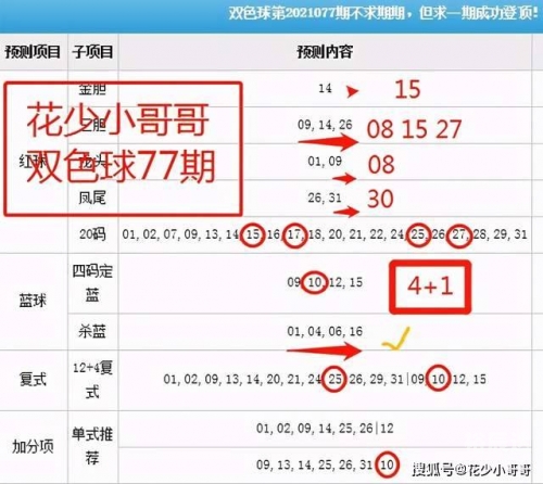 香港15期开奖结果记录查询表香港15期开奖结果揭晓