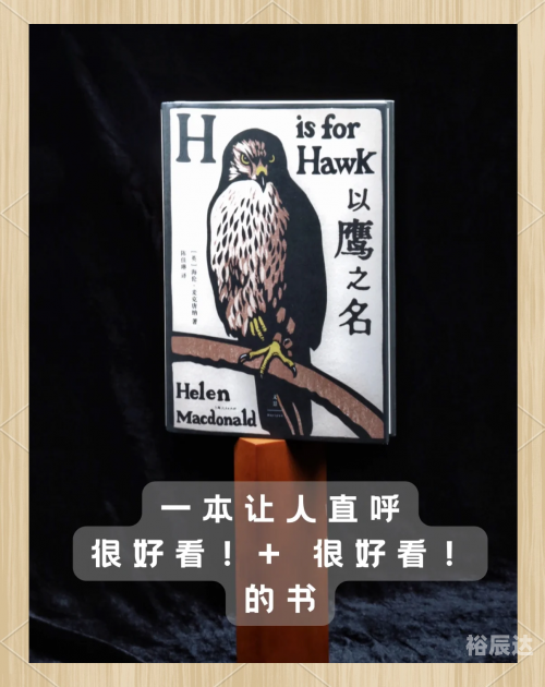 中华鹰鹘苑中华鹰鹘苑，中华自然之美与生态保护的典范