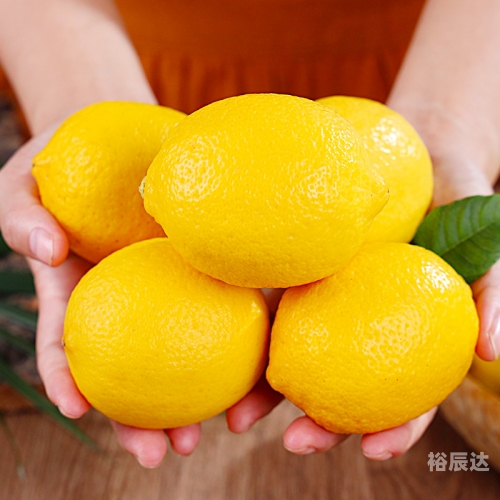 水果奶奶免费大全资料