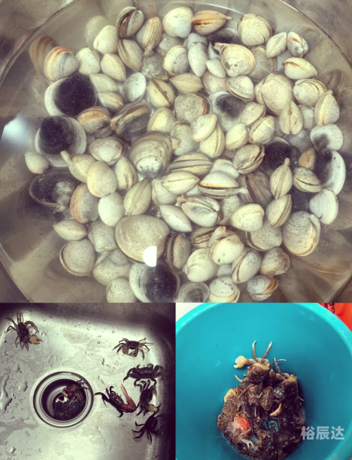 成都鬼饮食，神秘而又诱人的美食之旅-第2张图片