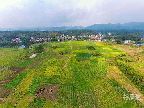 乡村欲爱，免费阅读的诗意田园-第1张图片
