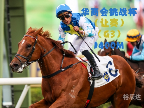 香港赛马会排位，赛马运动的荣耀与挑战