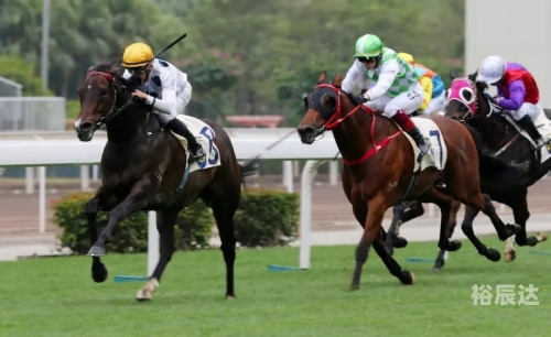 香港赛马会开奖结果香港赛马会开奖结果揭晓，赛马爱好者们的期待与惊喜