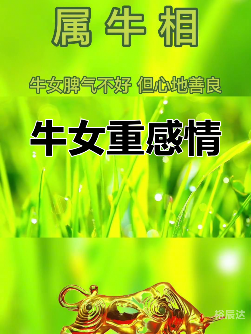 97年属牛女什么时候动婚97年属牛女动婚时间揭秘