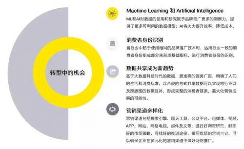 探索05fff.com，数字时代的神秘世界-第2张图片