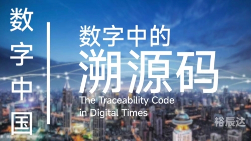 探索05fff.com，数字时代的神秘世界