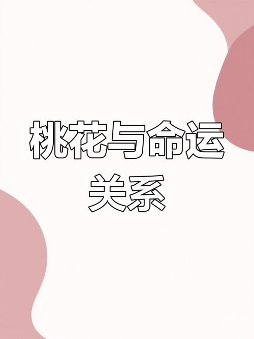 今日桃花运今日桃花运-第2张图片