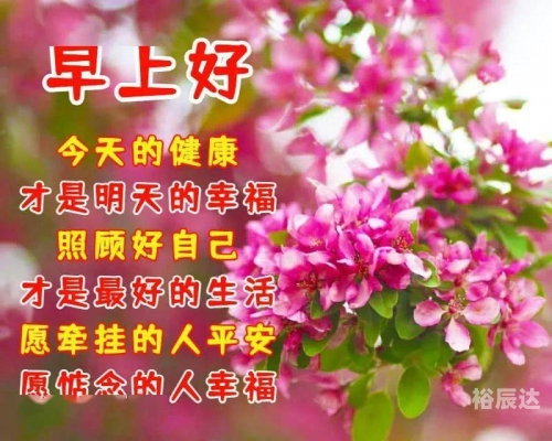 好日子高手论坛，探索生活中的好时光-第2张图片
