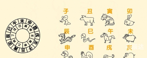 2013年的全部生肖表2013年生肖对照表