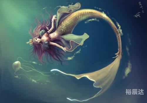 138383美人鱼论坛美人鱼686852探索138383美人鱼论坛，美人鱼的奇幻世界-第3张图片