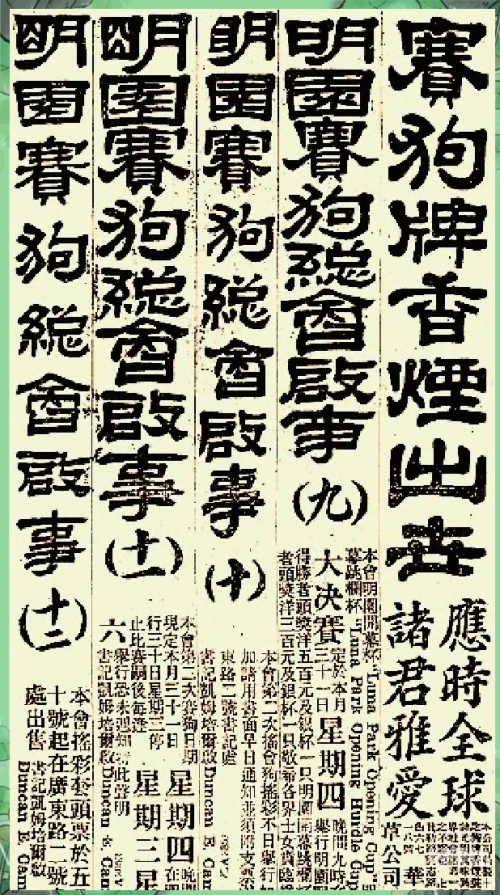 跑狗网出版社新一代的跑狗最新章节列表跑狗网出版，引领宠物文化新篇章