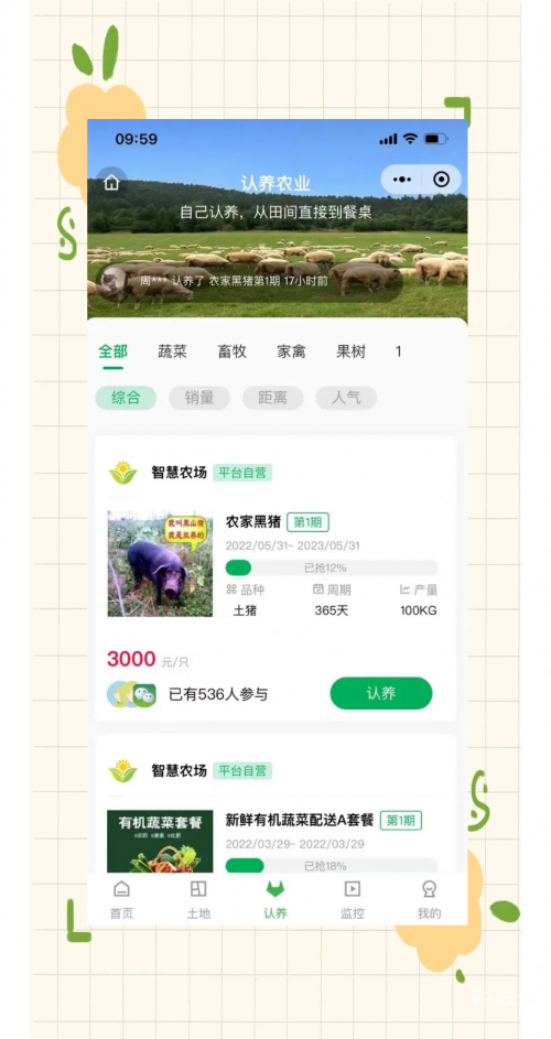 管家婆三肖三期必出一期，智慧与机遇-第3张图片