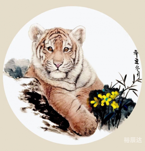 龙虎赢钱的吉彩家娱乐-第2张图片