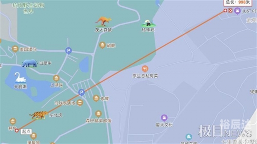 金钱豹怎么出逃金钱豹攻略-第2张图片
