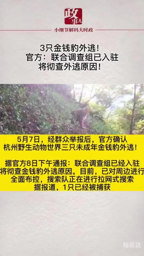 金钱豹怎么出逃金钱豹攻略