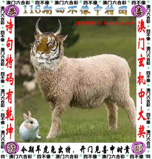 澳门第115期开奖结果澳门第115期开奖结果揭晓-第2张图片