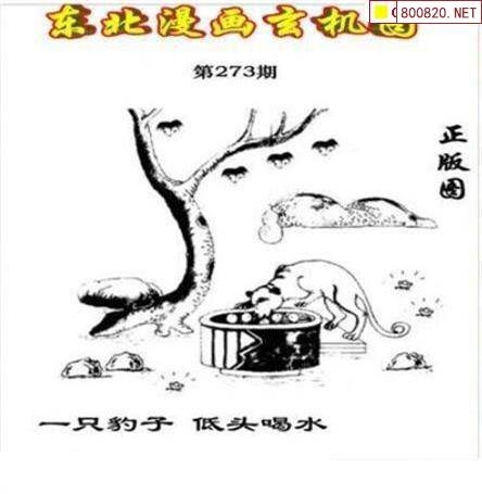 3D新彩网字谜图谜3D新彩网，引领数字艺术新潮流-第2张图片