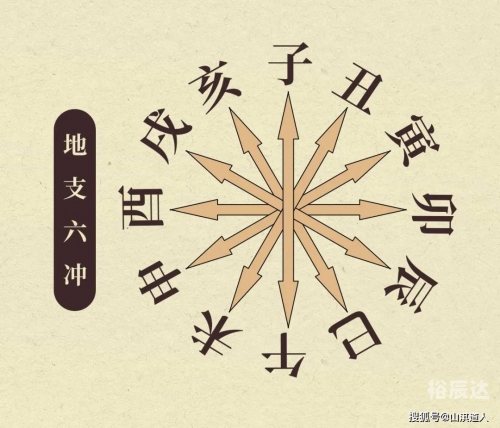 澳门必中一肖一码100精准生肖花的属性澳门必中一肖一码，成功之路-第2张图片