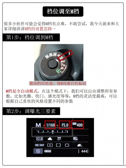 365每一天论坛，探索无限可能-第2张图片