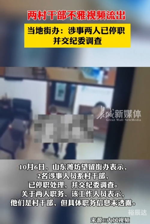 村干部被曝不雅视频事件