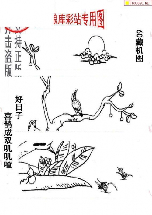 福彩3d画谜总汇福彩3D画谜总汇-第3张图片