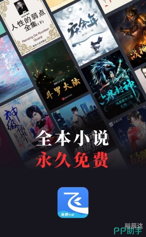 正版资料大全全年2020小说概述