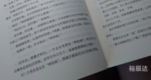 正版资料大全全年2020小说概述-第3张图片