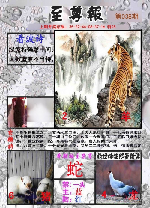澳门三肖三码期准澳门天天彩澳门三肖三码期准天天彩-第2张图片