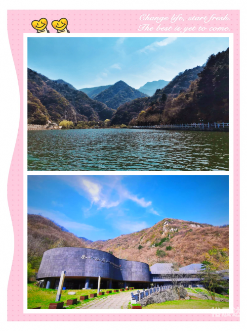 3d白天鹅图库最快3D白天鹅图库，探索美丽与艺术的瑰宝