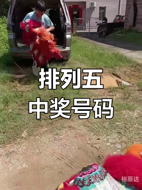 排列五的开奖结果查询排列五开奖结果揭晓-第1张图片