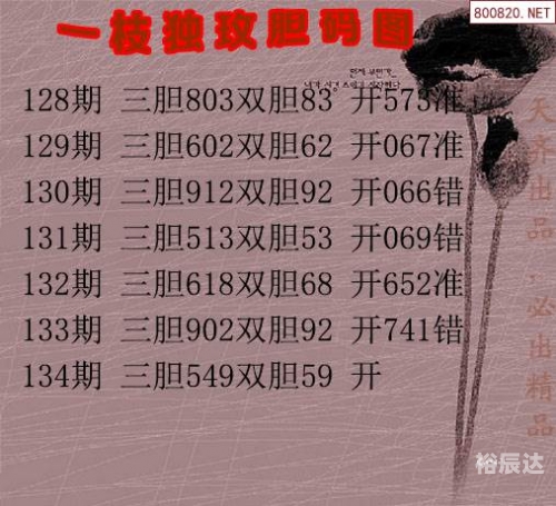 3d大本营的胆码预测三D大本营，探索沉浸式体验的新天地